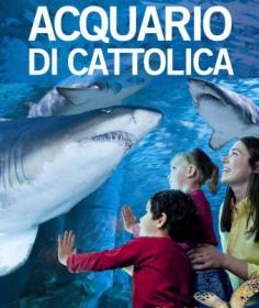 Super Offerta acquario cattolica in camper + biglietti sconto acquario Cattolica